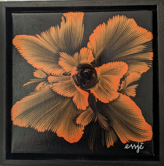 Orange velours (encadré) - 8x8